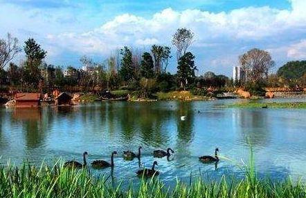 贵州花果园爆料事件最新,揭秘背后真相与影响